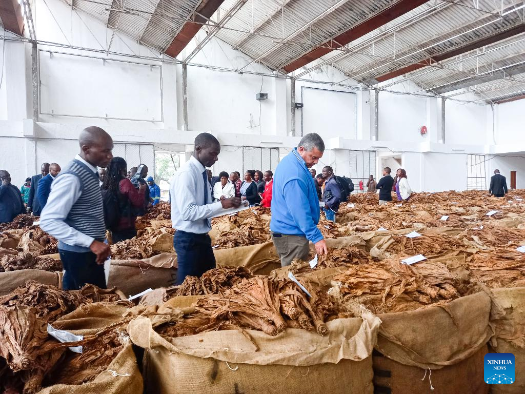 Produsen Rokok Murah di Maluku Tengah