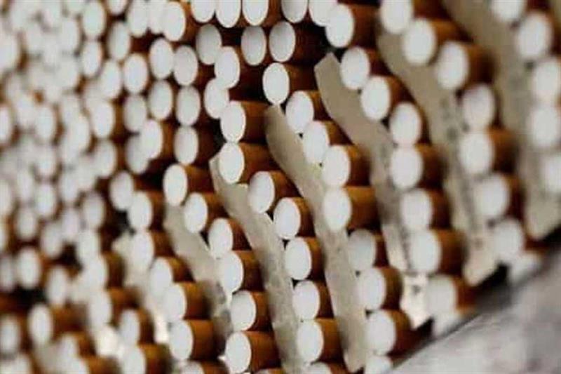 Produsen Rokok Murah di Pegunungan Arfak