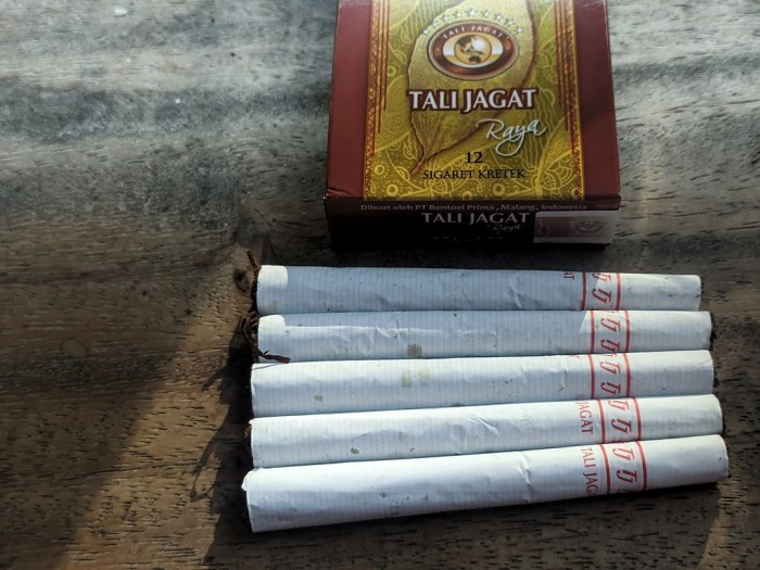 Distributor Rokok Talas di Bandar Lampung