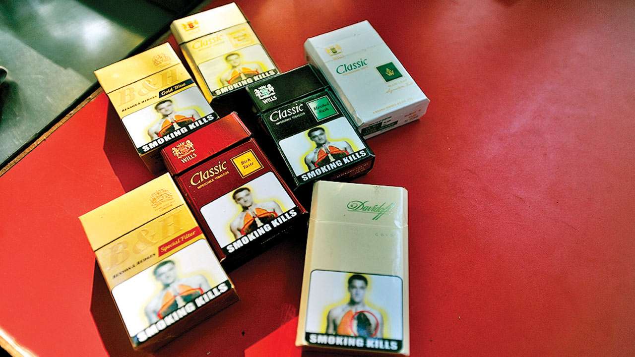 Produsen Rokok Murah di Teluk Bintuni