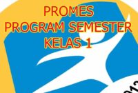 Prota promes k13