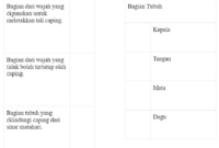 Download soal anbk kelas 5 sd word