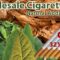 Gambar Grosir Rokok Murah 57