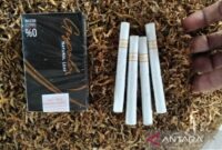 Distributor Rokok Talas di Brebes