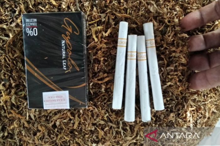 Distributor Rokok Talas di Tanah Bumbu