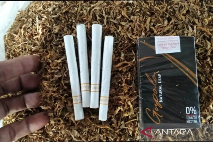 Distributor Rokok Talas di Semarang