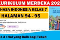 Prota ips kelas 7 kurikulum merdeka