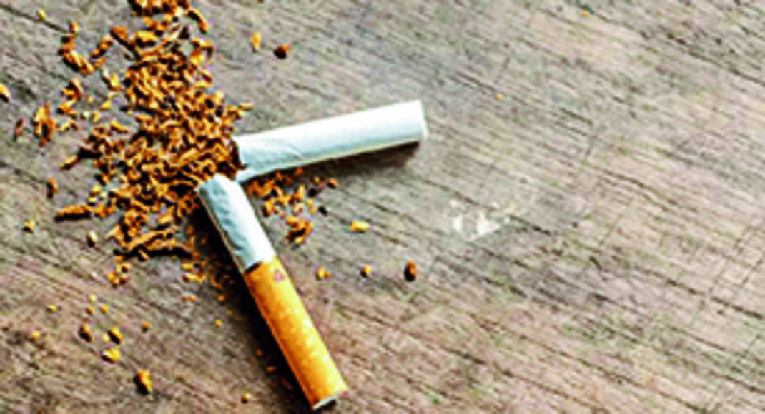 Rokok Dari Daun Talas Apakah Kena Cukai