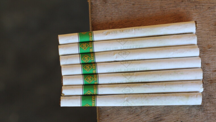 Rokok Dari Talas Beneng